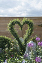 Common Box, Buxus sempervirens, shaped into a heart, among summer flowers and a headless statue. Part of Ivan HIcks garden at the Future Gardens show in St Albans 2009. Tall pink Cleome flowers.