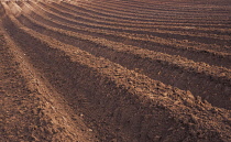 DeepFurrows, Ploughed field.