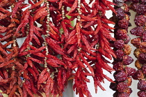 Chilli pepper, Capsicum annuum, strings of chilies hung up to dry.