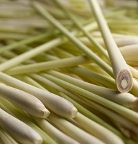 Lemon grass, Cymbopogon citratus, A mas of sticks, filling the frame, with one on the right hand side cut to show rings inside. Very shallow dedpth of field.