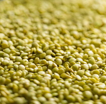 Lentil, Lens culinaris, A mass of yellow split lentils.
