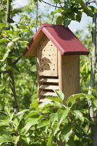 Apple, Malus domestica, Wooden insect shelter.