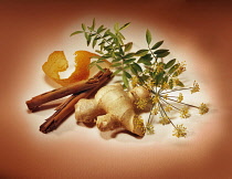 Ginger, Zingiber officinale, fresh piece of the root with cinnamon sticks, fennel flower, orange peel and liquorice leaves grouped together, surrounded by a warm red halo.