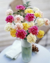 Carnation, various pink cream and yellow Dianthus cultivars arranged in a frosted glass vase on a small table.