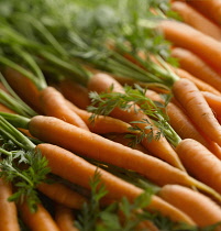 Carrot, Daucus carota, Many carrots with leaves laid on top of one another.