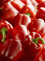 Sweet pepper, Capsicum annuum var. grossum, Several shiny red peppers, some with green stalks.