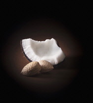 Coconut, Cocos nucifera, Front view of a piece of coconut with two almonds in shells.
