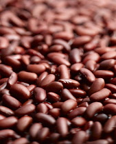 Kidney bean, Phaseolus vulgaris, A mass of beans in liquid.