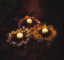 Elderflower, Sambucus nigra and Feverfew, Tanacetum parthenium and Wild rose, Rosa canina, Three lit candles surrounded by wreaths of flowers, one each of laid at the base of a large tree for a pagan...