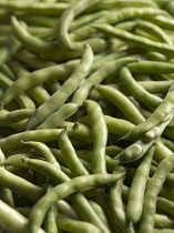 Broad bean, Vicia faba, Top view of a mass of pods, one opened showing beans inside.