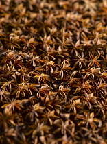 Star anise, Illicium verum, A mass of star shaped husks holding the seeds.