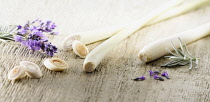 Lemon grass, Cymbopogon citratus stems and slices arranged with lavender, Lavandula augustifolia on pale, distressed, wooden background. Selective focus.