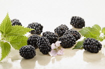 Blackberry, Rubus cultivar. Several berries arranged with flowers and leaves on white marble background. Selective focus.