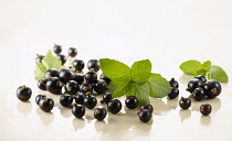 Currant, Blackcurrant, Ribes nigrum. Several berries arranged with sprigs of peppermint, Mentha piperita, on white marble. Selective focus.