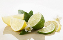 Lemon & Lime, Citrus limon & citrus aurantiifolia. Pieces, halves, quarters and slices with flowers and leaves spritzed with water droplets on white marble. Selective focus.