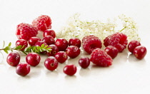 Cranberry, Vaccinium oxycoccos, several berries with a sprig of leaves, and with raspberries and elderflowers. Arranged on white marble. Selective focus.