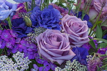 Bouquet, Rose, Rosa x hybrida, Hybrid Tea Rose, as part of colourful display.