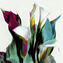 Lily, Lilium, Flowers as a colourful artistic representation.