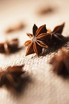 Star anise, Illicium, Studio shot of brown coloured spice.