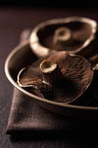 Mushroom, Portobello mushroom, Psalliota bisporus, Studio shot of brown coloured fungi.