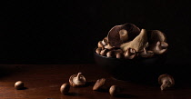 Mushroom, Psalliota, Studio shot of brown coloured fungi.