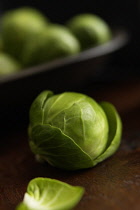 Brussel sprout, Brassica oleracea bullata, Stusio shot of green coloured vegetable.