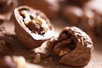 Walnut, Juglans regia, Studio shot of open nut.