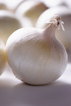 Onion, White onion, Allium cepa, Studio shot of vegetable.