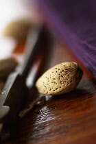 Almond, Prunus dulcis, Single nut next to cracker.