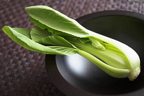 Chinese leaf, Pe Tsai, Brassica pekinensis, Studio shot of green coloured vegatable in bowl.