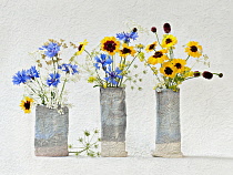 Studio shot of Cornflower, Centaurea cyanus Cow parsley, Anthriscus sylvestris Cow parsley, Anthriscus sylvestris arranged in glazed pots, Artistic textured layers added to image to produce a painterl...