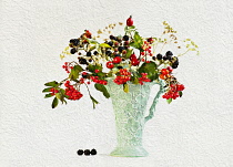Blackberry, Rubus cultivar Rowan, Sorbus and Rosehip, Rosa canina in  jug vase. Artistic textured layers added to image to produce a painterly effect.