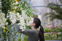 Young girl working in garden centre.