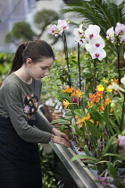 Young girl working in garden centre.