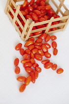 Wolf berry, Goji berry, Lycium barbarum, Studio shot of red coloured fruit.