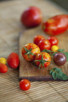 Tomato, Lycopersicon esculentum , Studio shot or red tomatoes on wooden board.