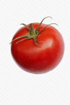 Tomato, Beef tomato, Lycopersicon cultivar, Studio shot of red fruit against white background.