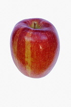 Apple, Malus domestica 'Braeburn', Studio shot of red fruit against white background.