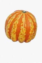 Squash, Carnival squash, Cucurbita pepo 'Carnival ', Studio shot of single orange coloured fruit against white background.