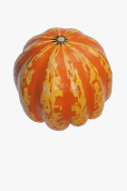 Squash, Carnival squash, Cucurbita pepo 'Carnival', Studio shot of single orange coloured fruit against white background.