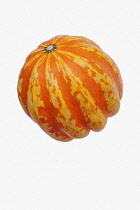 Squash, Carnival squash, Cucurbita pepo 'Carnival', Studio shot of single orange coloured fruit against white background.