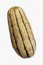 Squash, Delicata squash, Cucurbita pepo 'Delicata', Studio shot of fruit against white background.