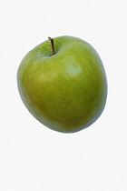 Apple, Granny Smith, Malus domestica 'Granny Smith', Studio shot of green fruit against white background.