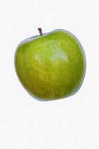 Apple, Granny Smith, Malus domestica 'Granny Smith', Studio shot of green fruit against white background.