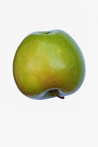 Apple, Granny Smith, Malus domestica 'Granny Smith', Studio shot of green fruit against white background.