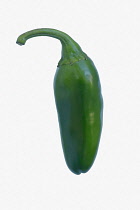 Chilli, Jalapeno chilli, Capsicum annuum, Studio shot of green fruit against white background.