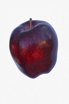 Apple, Apple 'Red Delicious', Malus domestica 'Red Delicious', Studio shot of red fruit against white background.