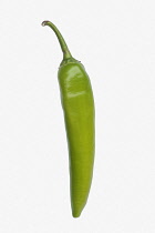 Chilli, Serrano Chili, Capsicum annuum 'Serrano', Studio shot of green fruit against white background.