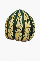 Squash, Winter squash 'Sweet Dumpling', Cucurbita pepo 'Sweet Dumpling', Studio shot of green and yellow coloured fruit against white background.