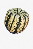 Squash, Winter squash 'Sweet Dumpling', Cucurbita pepo 'Sweet Dumpling', Studio shot of green and yellow coloured fruit against white background.